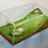 羊のコケてアリウム