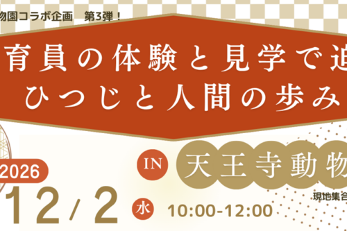 大人の遠足　飼育員の体験と見学で迫るひつじと人間の歩み